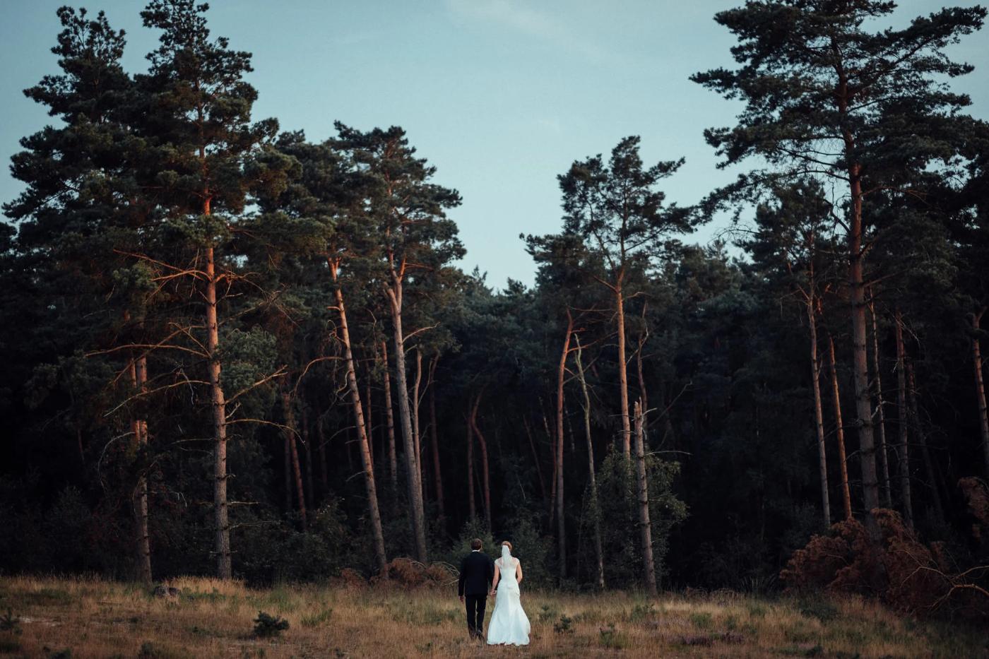 Riferimento di stile — luce naturale, fotografia di matrimonio