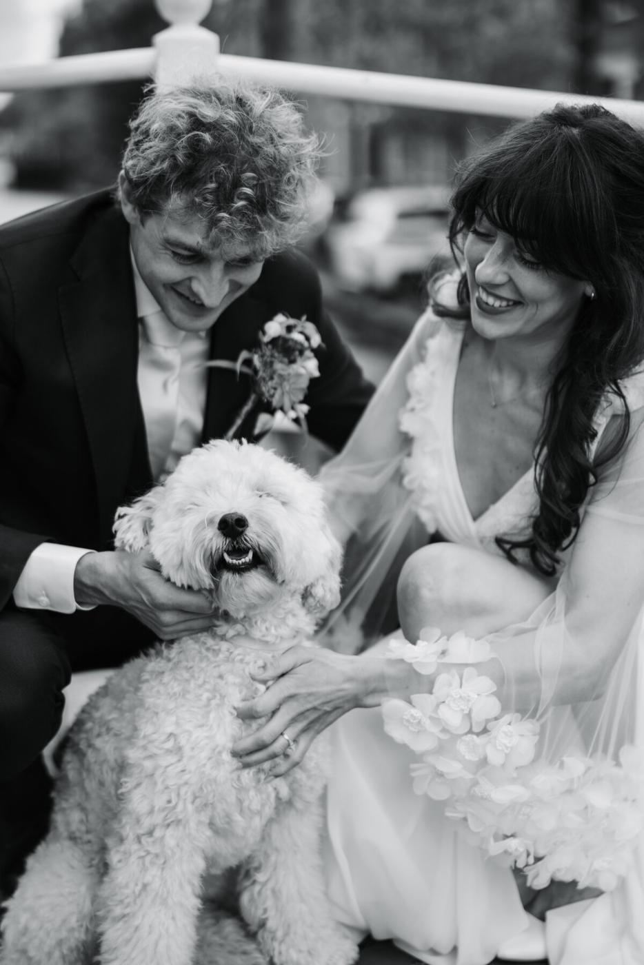 Riferimento di stile — luce naturale, fotografia di matrimonio