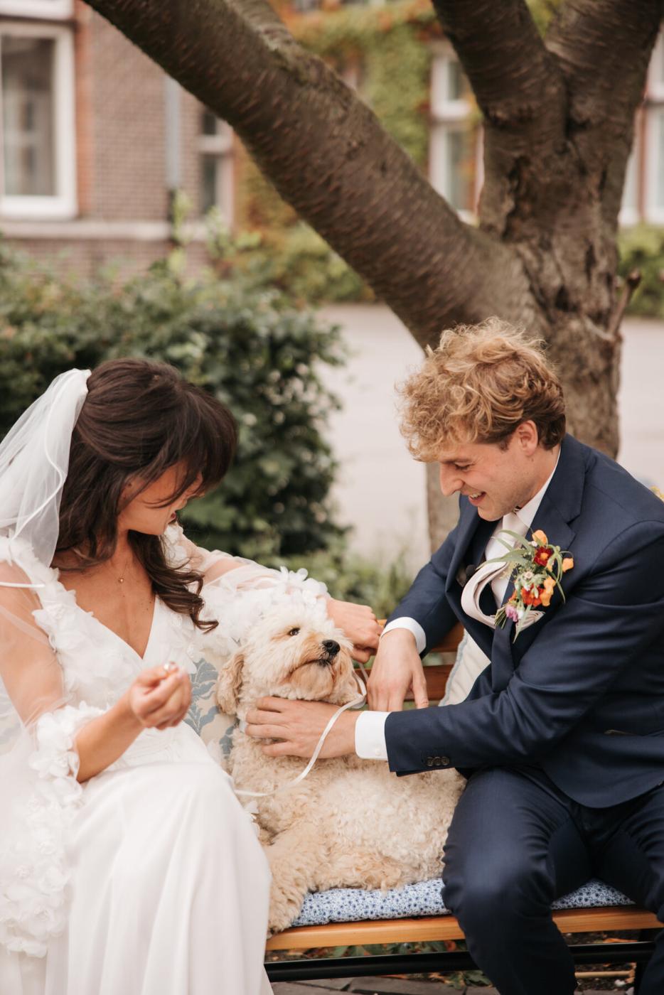 Riferimento di stile — luce naturale, fotografia di matrimonio