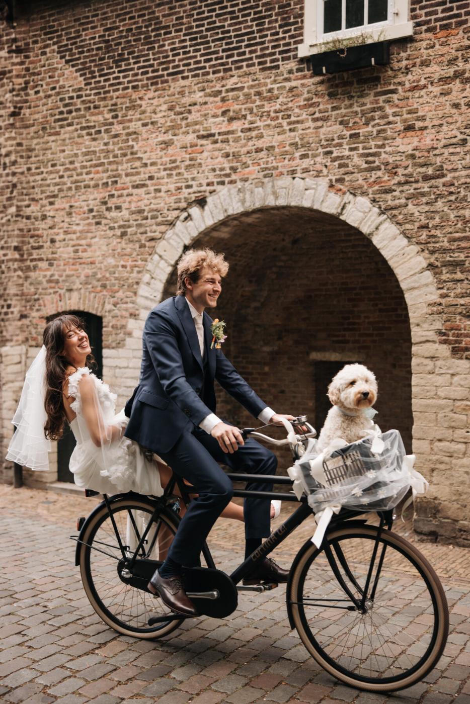 Riferimento di stile — luce naturale, fotografia di matrimonio
