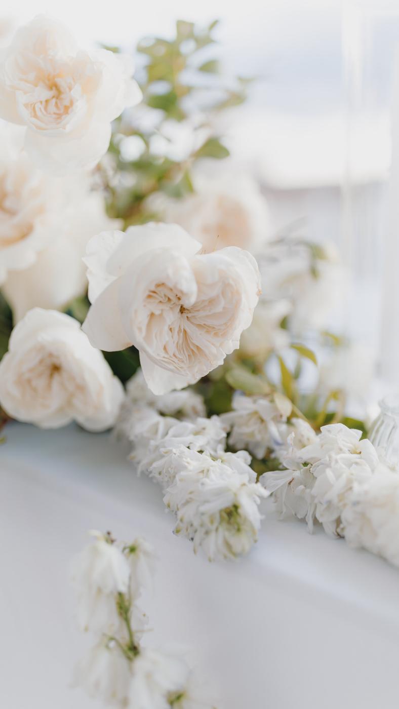 Riferimento di stile — luce naturale, fotografia di matrimonio